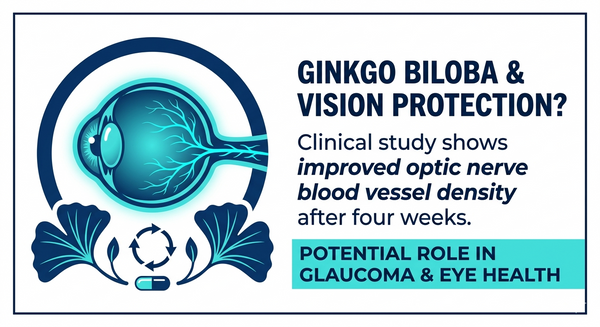 Could Ginkgo Biloba Help Protect the Optic Nerve? New Study Reveals Promising Changes in Eye Blood Vessels